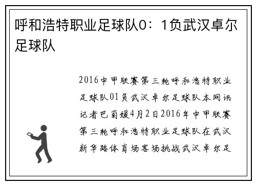 呼和浩特职业足球队0：1负武汉卓尔足球队